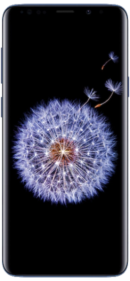 Samsung Galaxy S9 PlusSM-G965